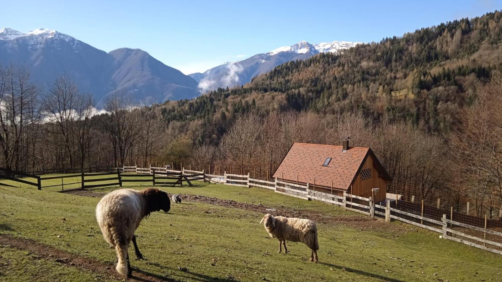 Chalet Navauce Raveo Exterior foto
